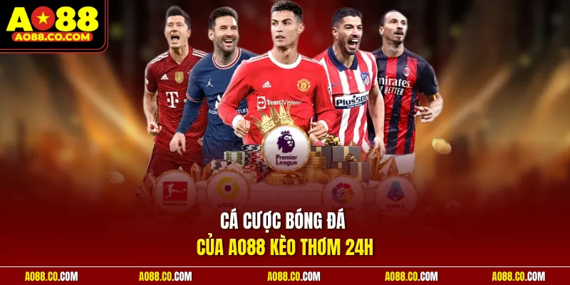 Cá cược bóng đá của AO88 kèo thơm 24h
