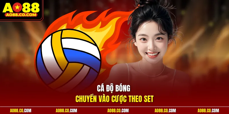 Cá độ bóng chuyền vào cược theo set