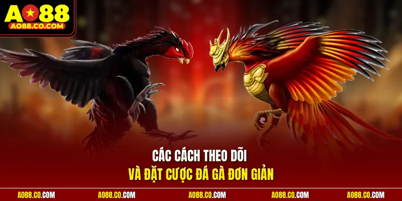 Các cách theo dõi và đặt cược đá gà đơn giản