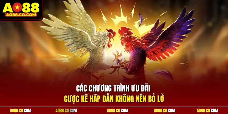 Các chương trình ưu đãi cược kê hấp dẫn không nên bỏ lỡ