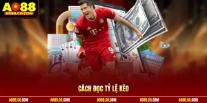 Cách đọc tỷ lệ kèo