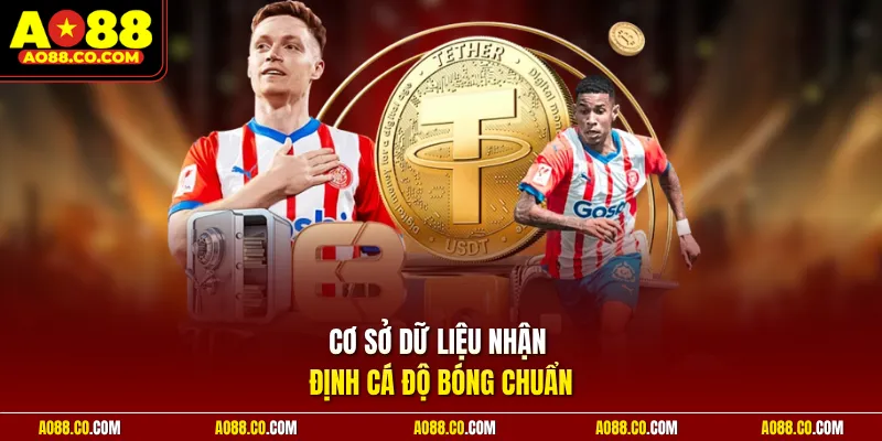 Cơ sở dữ liệu nhận định cá độ bóng chuẩn