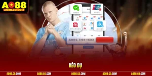 Kèo dụ