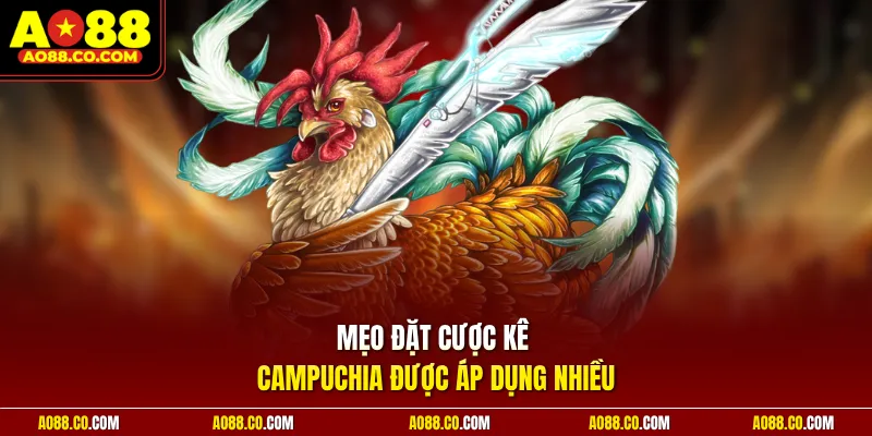 Mẹo đặt cược kê Campuchia được áp dụng nhiều