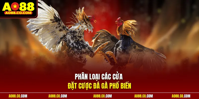 Phân loại các cửa đặt cược đá gà phổ biến