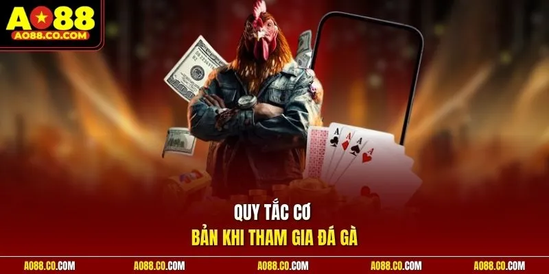 Quy tắc cơ bản khi tham gia đá gà