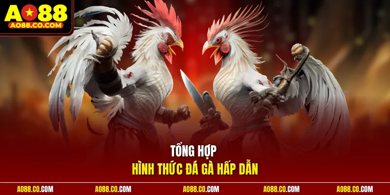 Tổng hợp hình thức đá gà hấp dẫn