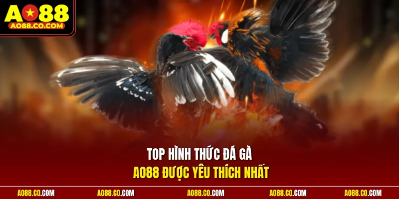 Top hình thức đá gà AO88 được yêu thích nhất